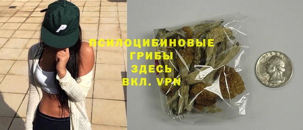 стаф Белокуриха