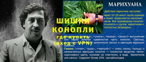 стаф Белокуриха