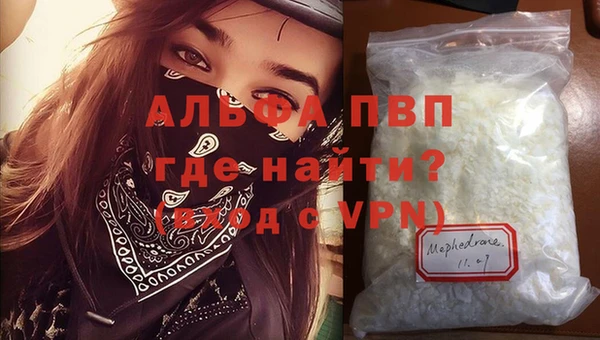 стаф Белокуриха