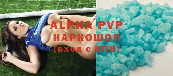 стаф Белокуриха