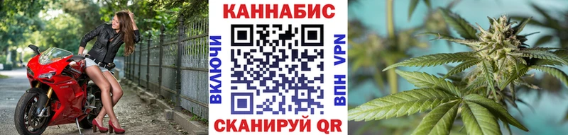 Бошки Шишки индика  Афипский 